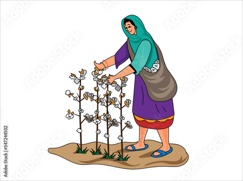 Woman collecting cotton hand vector illustration 