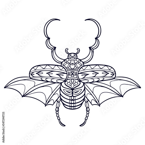 Beautiful Beetle mandala arts isolated on white background