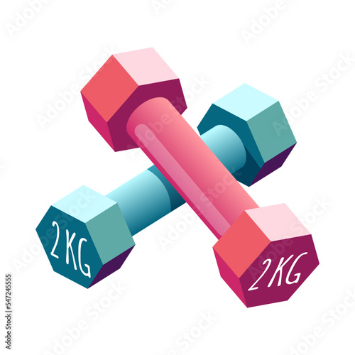 Dumbbells Isometric Illustration