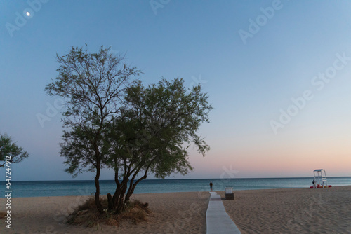 Fototapeta Naklejka Na Ścianę i Meble -  Pescoluse, Lecce, Puglia, Italy  promenade of the famous beach by twilight.