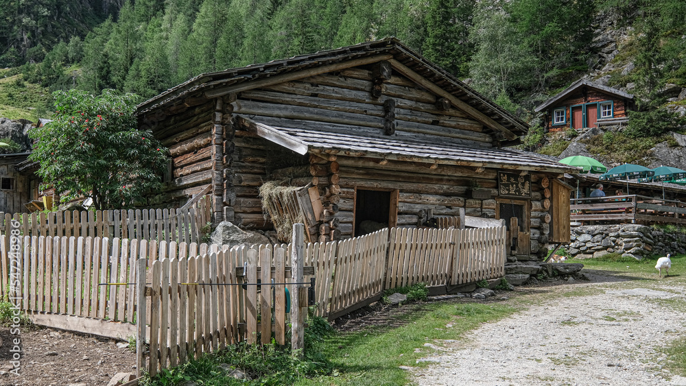 Obraz premium On trail to Putzentalalm farm, located above Schwarzensee in Solktaler Nature Park, Schladming, Styria, Austria