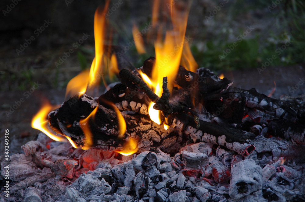Fire in the garden for barbecue. Burning dry wood. Burning fire texture. Close-up, selective focus. Fire in the garden for barbecue. Burning dry wood. Burning fire texture. Close-up, selective focus.
