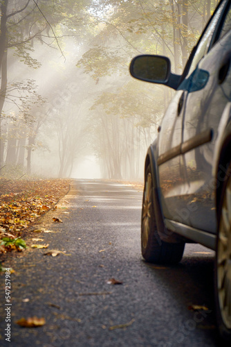 Car on the road in nature autumn