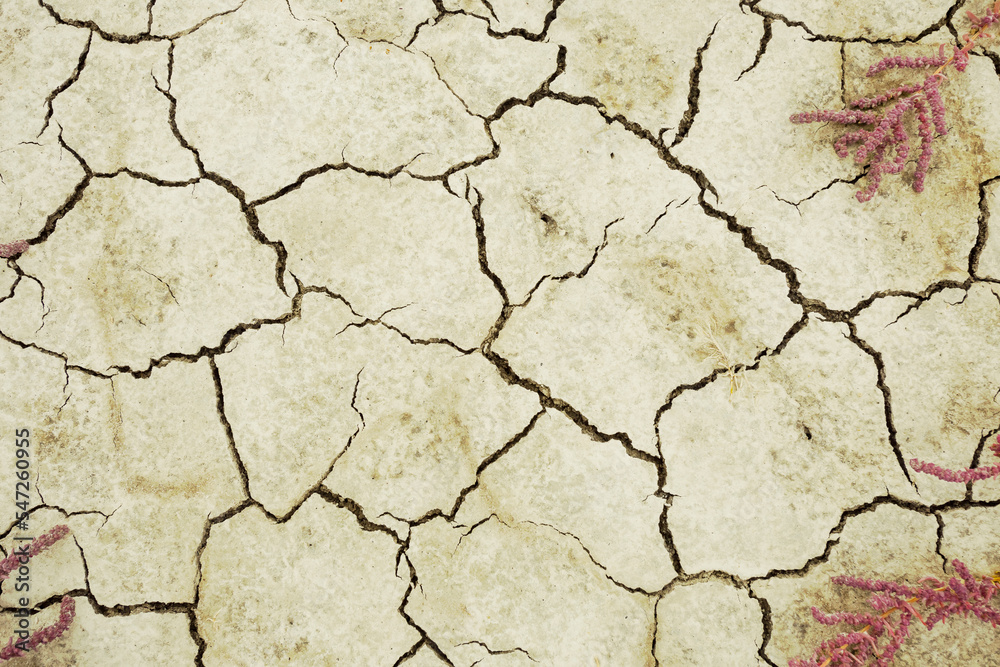 closeup dry cracked saline land, natural calamity background closeup dry cracked saline land, natural calamity background