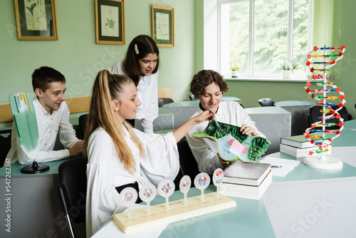 Pupils showing and sdudy DNA and animal cell models on the table in classroom. Education at school of biology and chemistry.