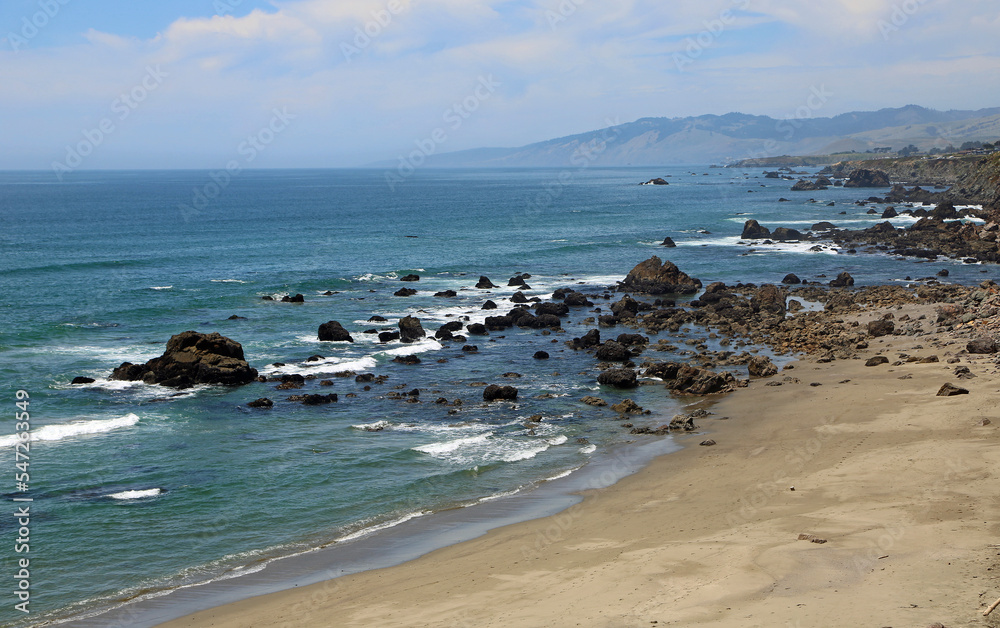 Fototapeta premium North Salmon Creek beach - California