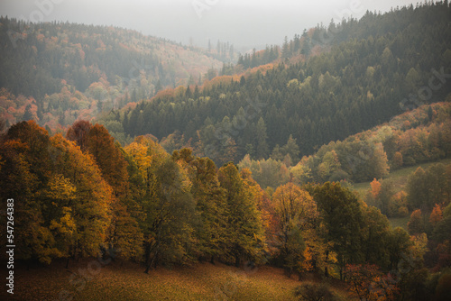 polish autumn landscape