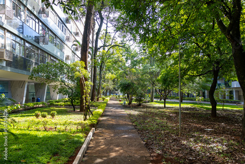 Fototapeta Naklejka Na Ścianę i Meble -  A day walking in green path near my house in Brasília