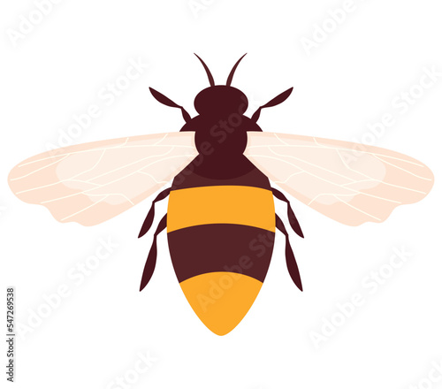 colored bee design