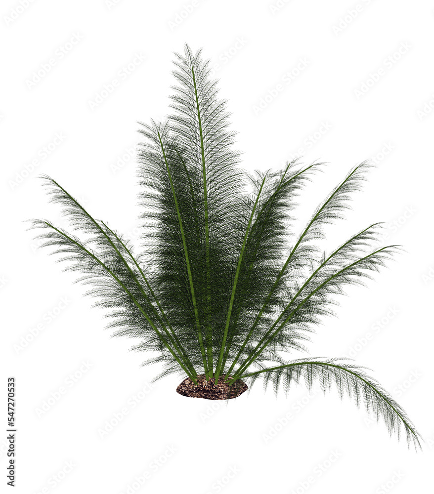 Tableau sur toile Onychiopsis prehistoric fern - 3D render