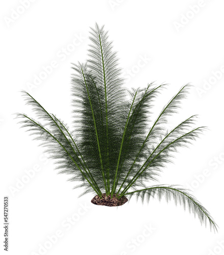 Onychiopsis prehistoric fern - 3D render