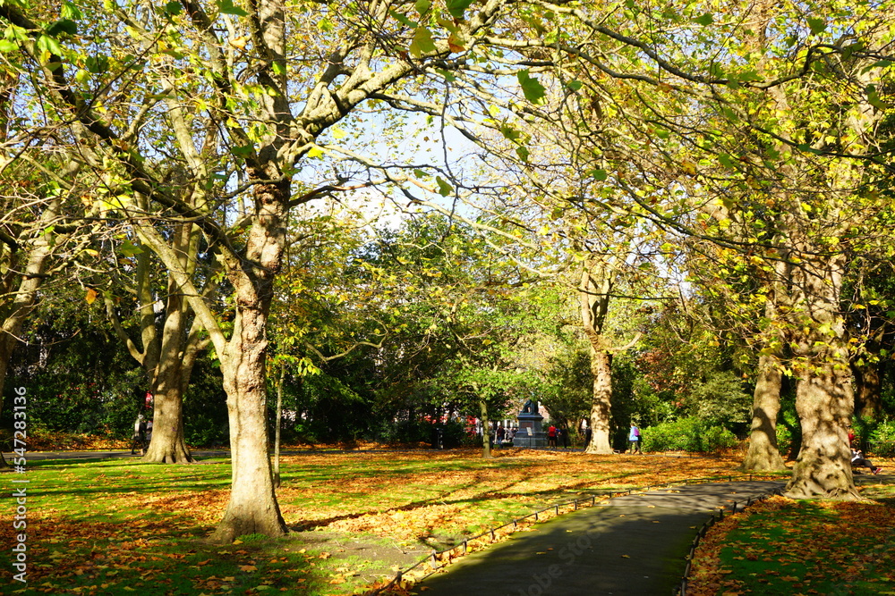 Fototapeta premium Autumn Colorful Foliage and Leaves at St. Stephen's Green Park in Dublin, Ireland