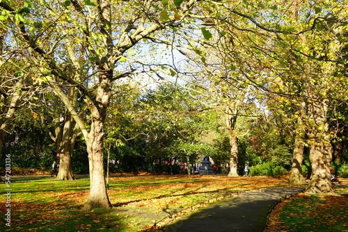 Fototapeta Naklejka Na Ścianę i Meble -  Autumn Colorful Foliage and Leaves at St. Stephen's Green Park in Dublin, Ireland
