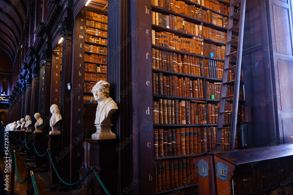 Obraz premium The Long Room at Trinity College in Dublin, Ireland