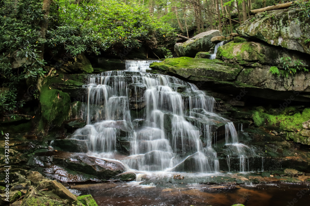 Naklejka premium One of the many waterfalls at Blackwater Falls, in West Virginia. Water Cascades down the falls with a lush green forest in the background