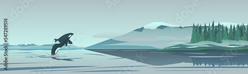 Panorama of the coast of North America. Range, coniferous forest in fog, sea bay. In the waters of the bay, a jumping killer whale. Wildlife scene, artistic drawing, vector illustration.