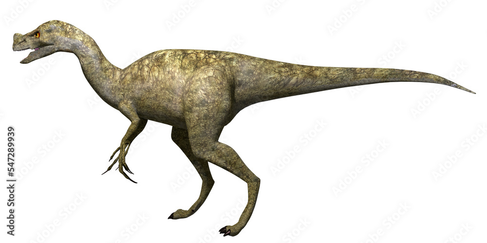 Dinosaur Ornitholestes on Transparent Background Dinosaur Ornitholestes on Transparent Background
