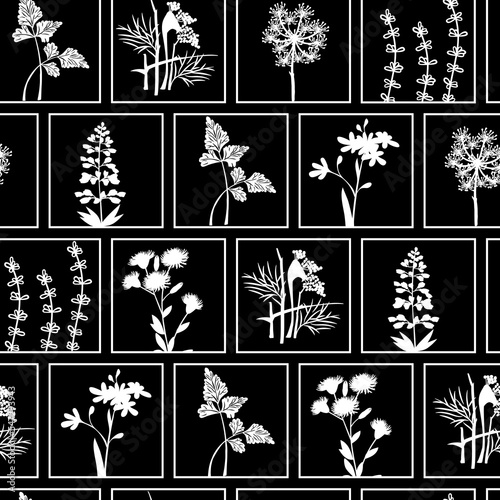 Floral seamless pattern of field grasses and squares.Silhouettes of plants and geometric shapes from lines white color on a black background.Botanical print on fabric and paper.Vector illustration.