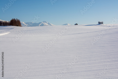 雪原と青空　富良野岳  © kinpouge