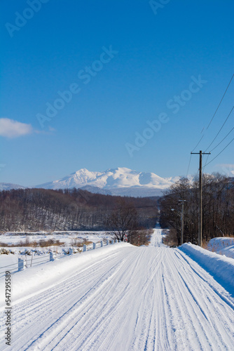 晴れた日の雪道と山頂 