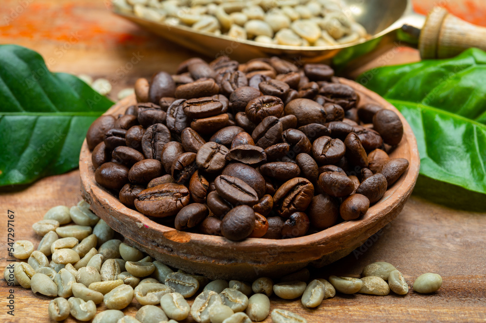 Fototapeta premium Green and roasted coffee beans from South America coffee producing region, from Colombia and Brazil with mountain ranges and climate ideal for coffee growing