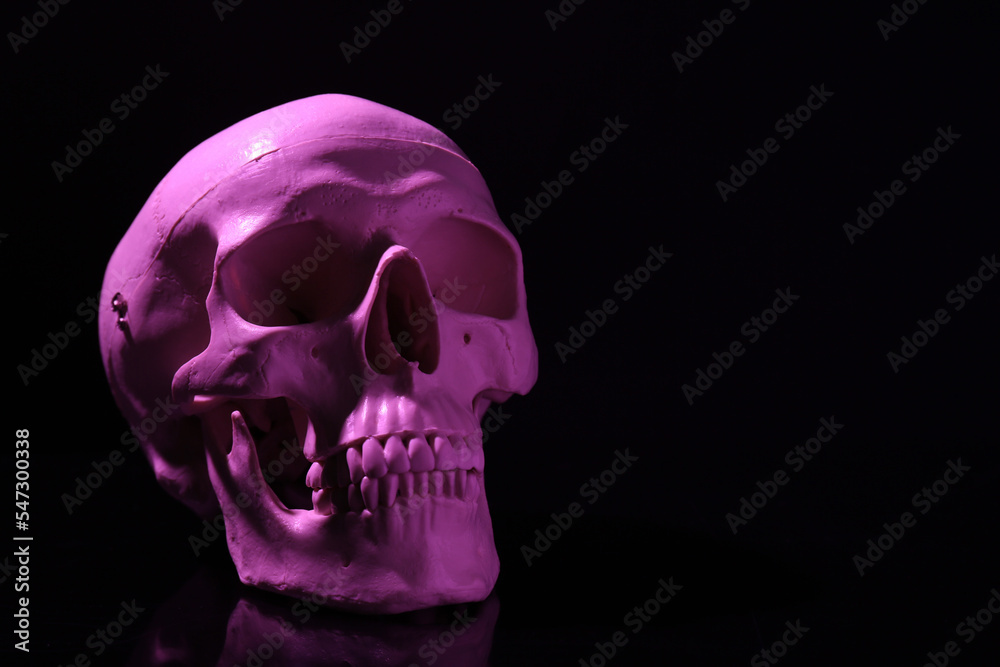 Fototapeta premium White human skull on black background, space for text
