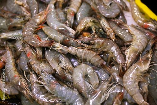 Many fresh raw shrimp as background, closeup