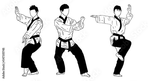 set of illustration logo taekwondo fighter vector photo