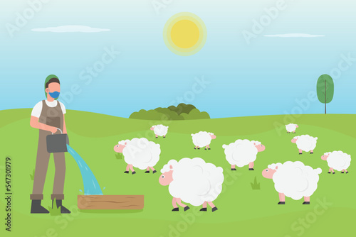 Livestock vector concept: Young farmer feeding his sheep in the farm while pouring water on the bucket