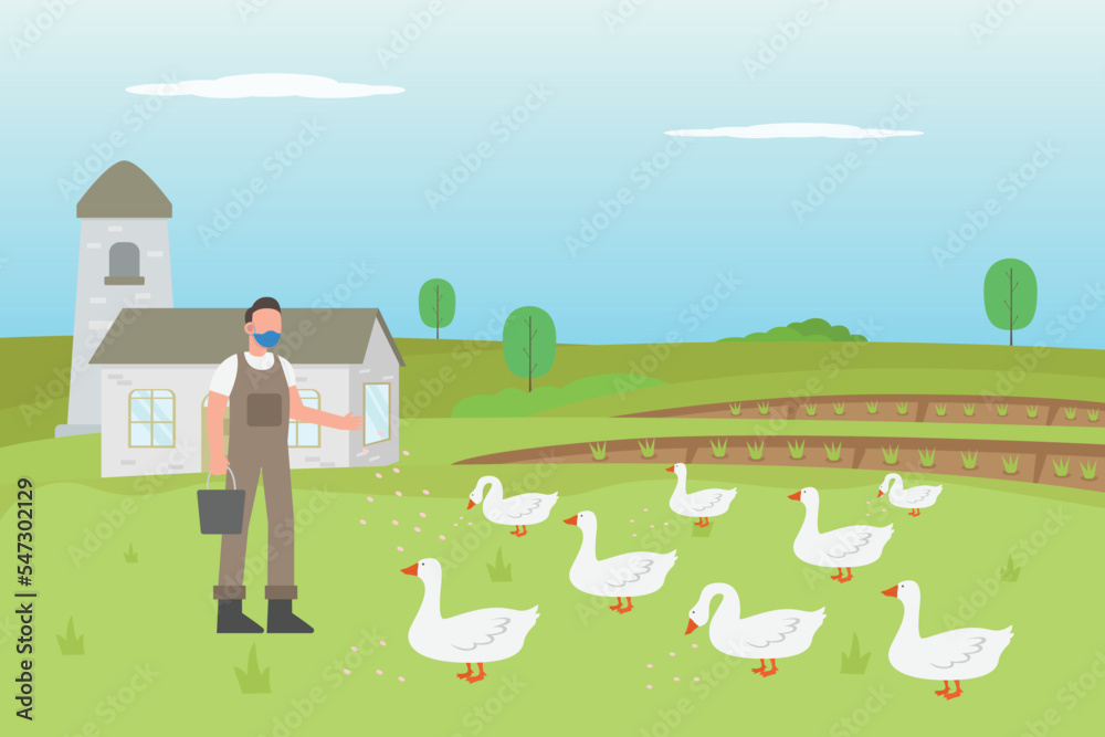 Fototapeta premium Man feeding goose at the farmyard
