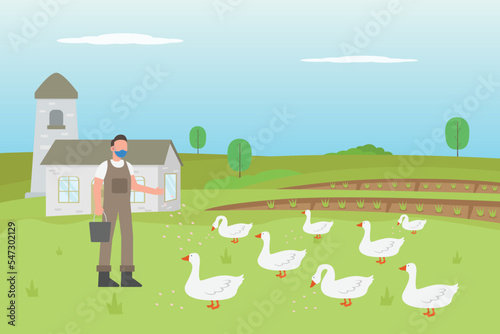 Man feeding goose at the farmyard