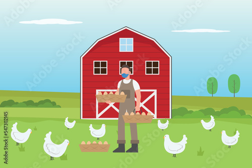 Livestock concept. Breeder holding chicken eggs in poultry farm