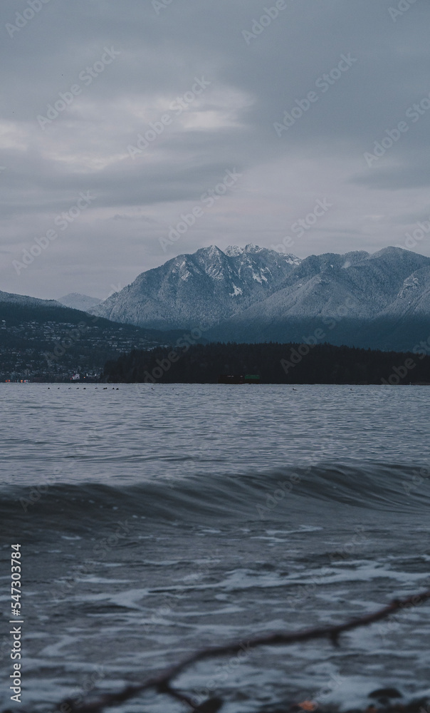 Vancouver Winter Shoreline