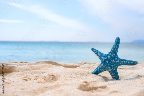 Starfish on sandy beaches and stunning blue sea waves on the Andaman Islands.