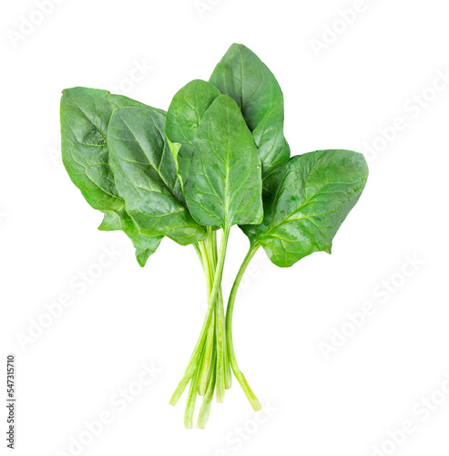 Spinach on transparent png