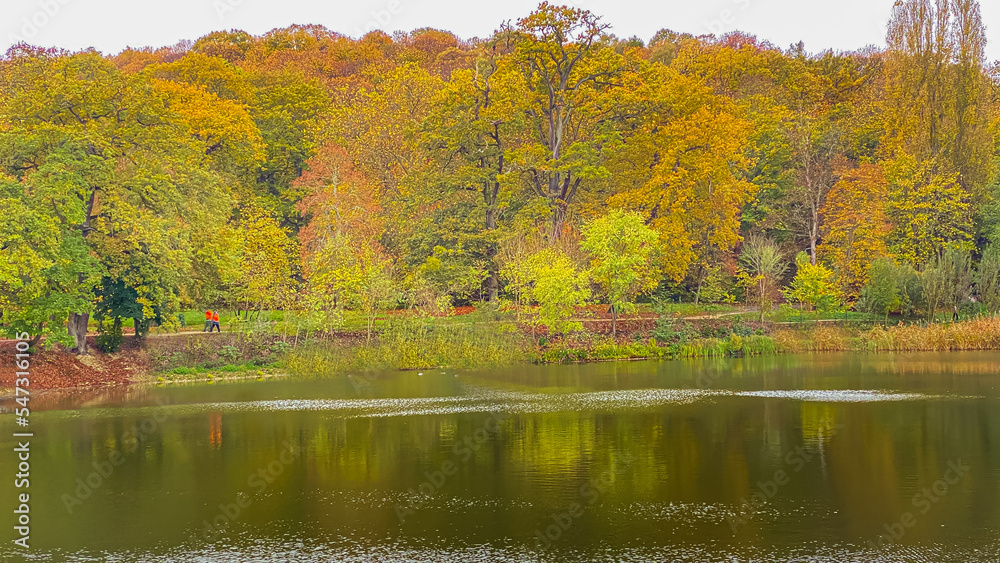 autumn in the park