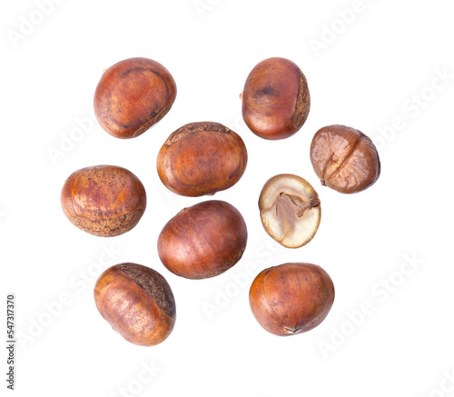 Chestnut Seed Isolated on transparent png
