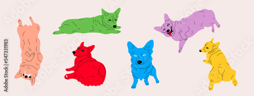 Cartoon Color Characters Corgi Set. Vector