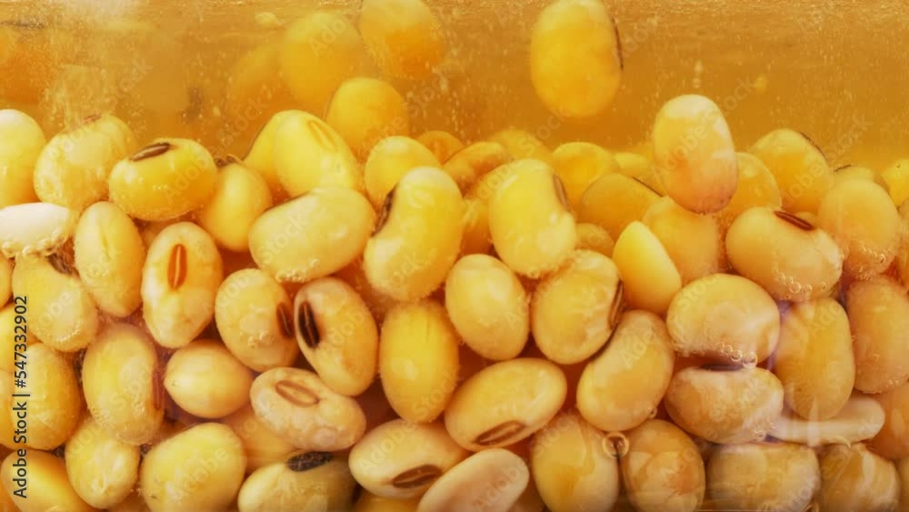 Front view of soybeans in boiling water on the stove. Front view of soybeans in boiling water on the stove.