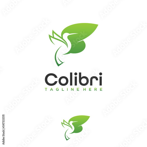 Hummingbird logo design vector template