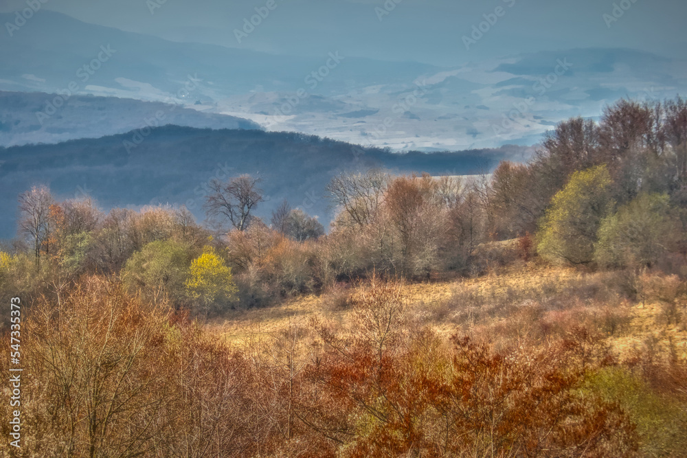 Early spring colors of trees and bushes