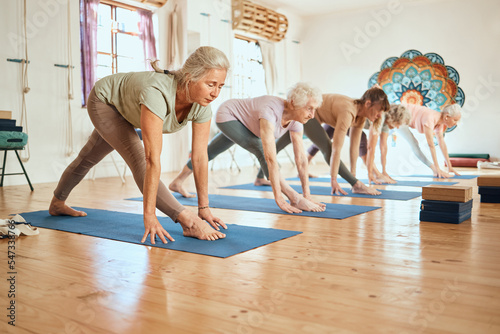 Fototapeta Senior yoga, pilates and fitness gym class of elderly women friends training for health and wellness