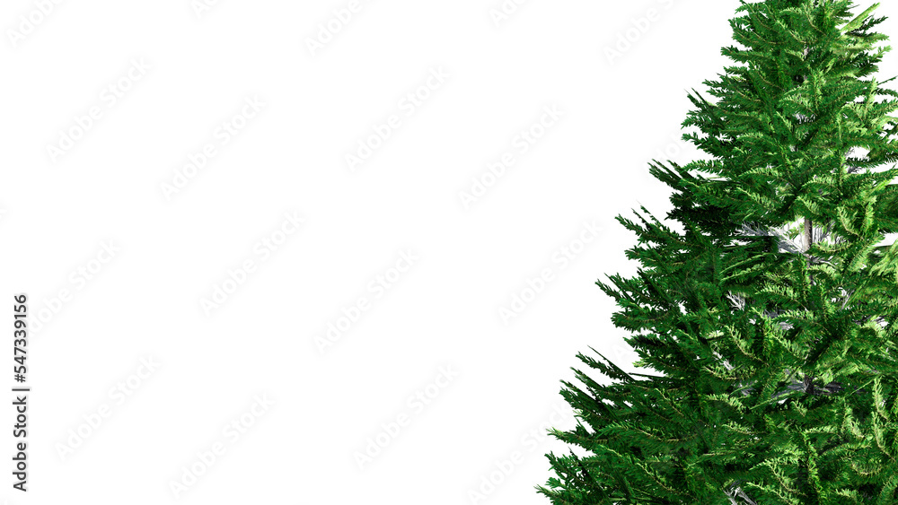 Christmas Tree Branches Isolated on PNGs transparent background	
