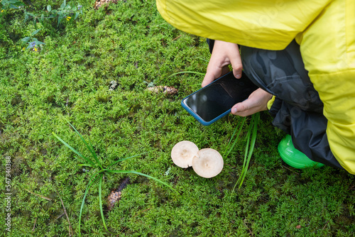 Mobile photography - taking picture using smart phone. Little boy exploring mushrooms in forest. Family leisure with kids in the nature.