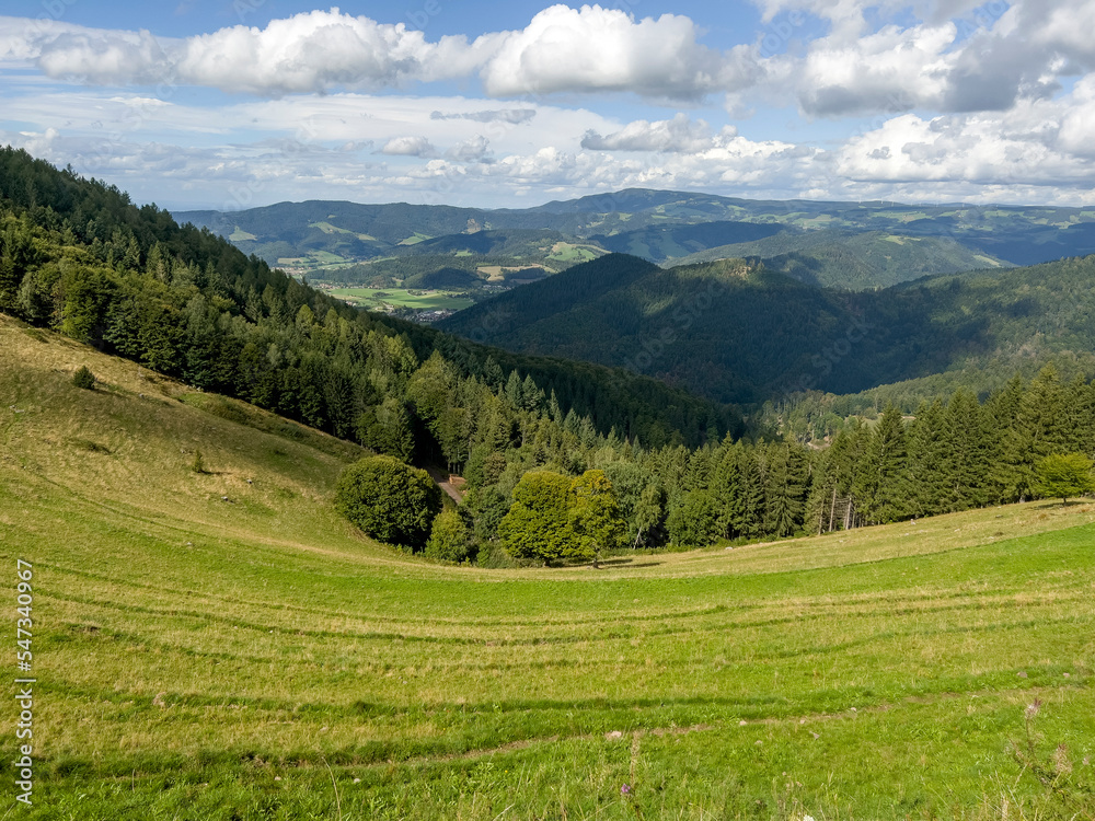 The wonderful view over the mountains and forests near Freiburg.