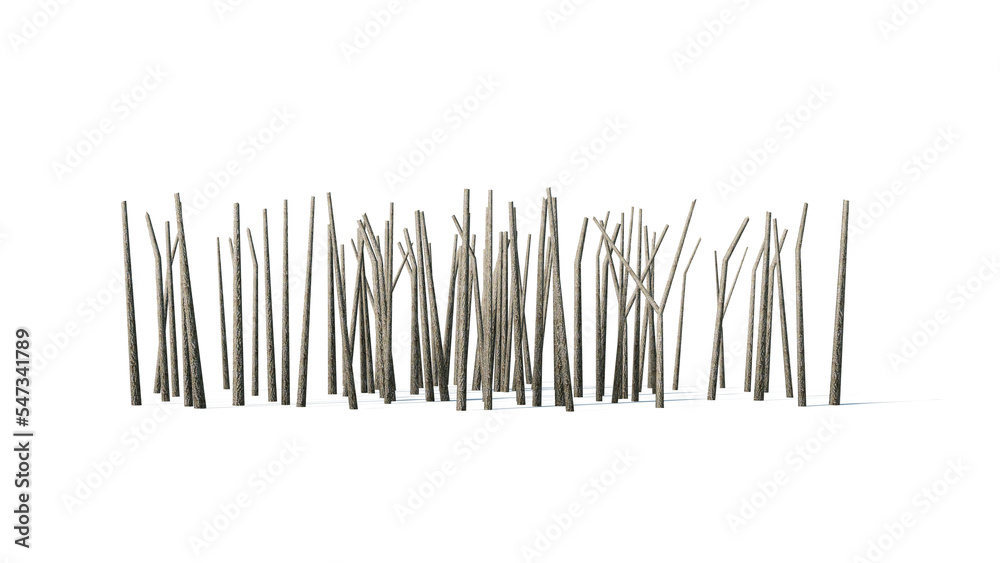 3d Tree trunk Isolated on PNGs transparent background , Use for visualization in architectural design or garden decorate
3d Tree trunk Isolated on PNGs transparent background , Use for visualization in architectural design or garden decorate