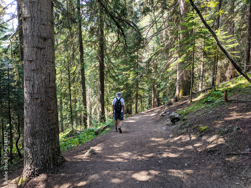 Arkhyz, Karachay-Cherkessia, Russia - August 25, 2022: Beautiful view of the coniferous forest. The rays of the sun break through the branches of trees. Man with a backpack walks along the path