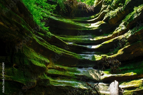 Breathtaking view of green mossy French Canyon under bright sunlight in Starved Rock State Park photo