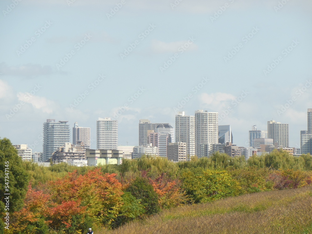 Obraz premium 遠い高層ビル