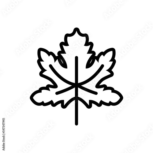Black line icon for maple